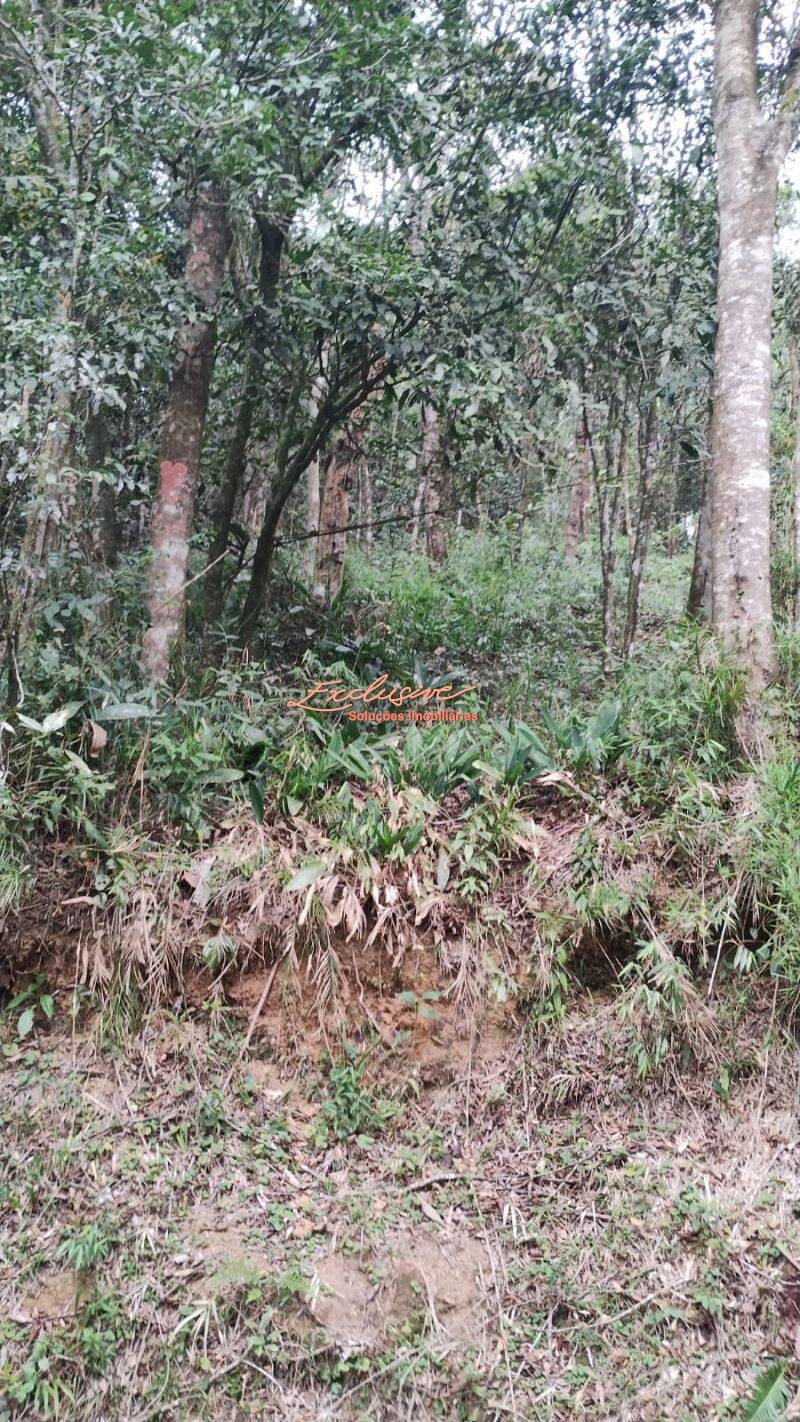 TERRENO PARA CHACARA OPORTUNIDADE 2100M2 OURO FINO