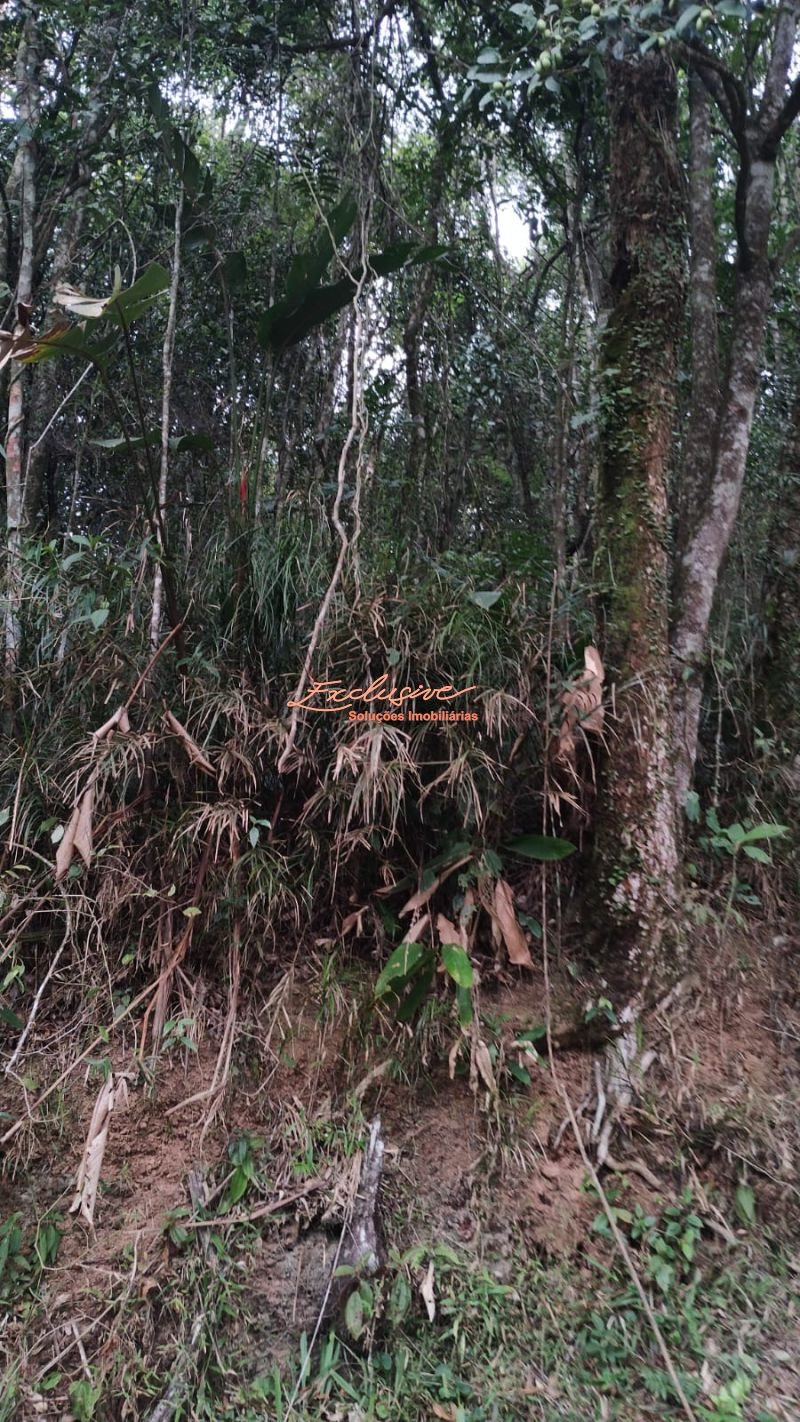 TERRENO PARA CHACARA OPORTUNIDADE 2100M2 OURO FINO - Cristina Cavalcanti