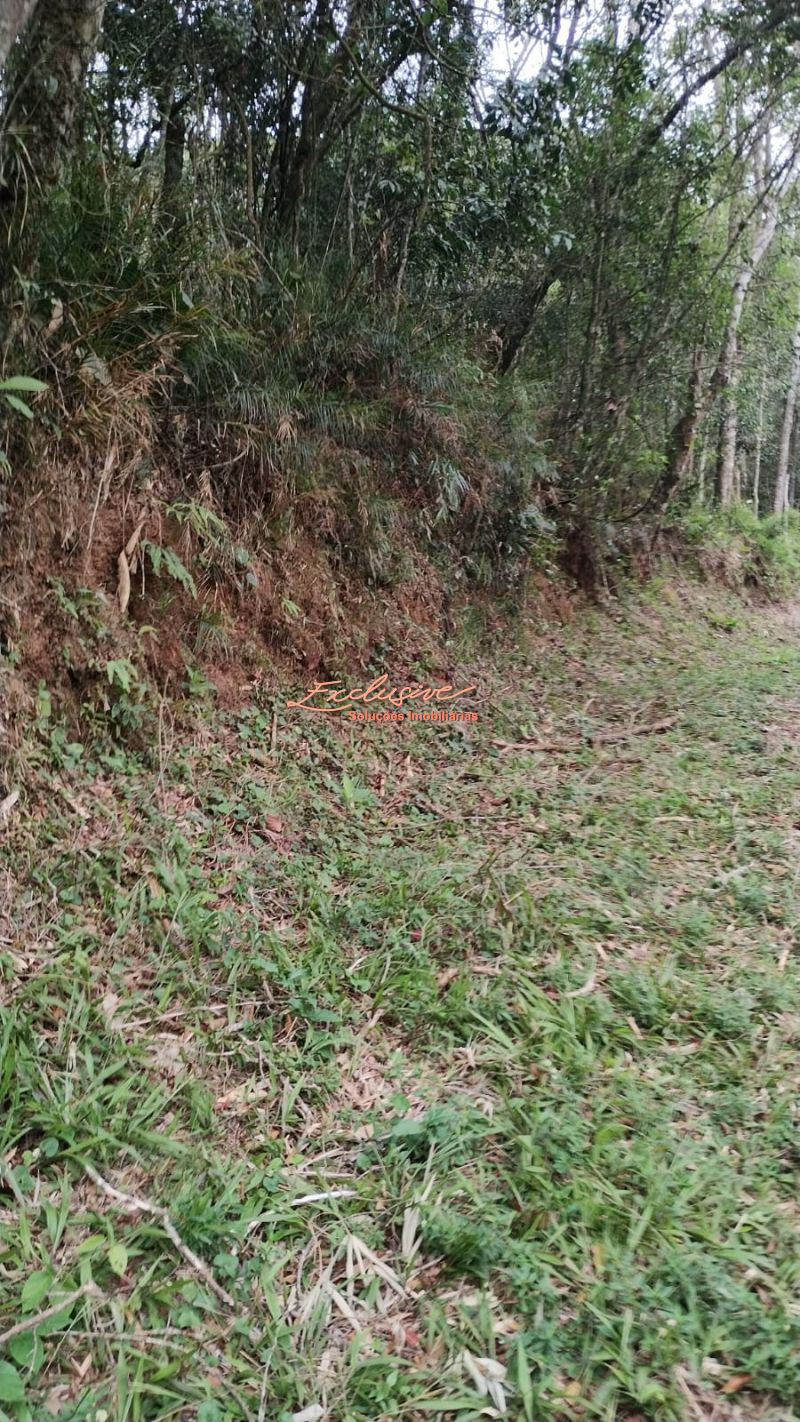 TERRENO PARA CHACARA OPORTUNIDADE 2100M2 OURO FINO - Cristina Cavalcanti