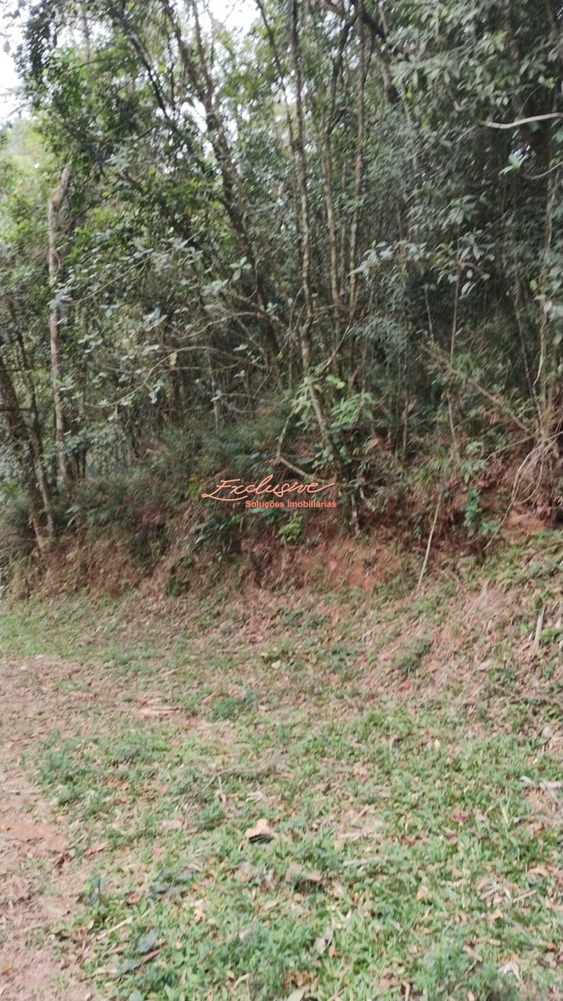 TERRENO PARA CHACARA OPORTUNIDADE 2100M2 OURO FINO - Cristina Cavalcanti