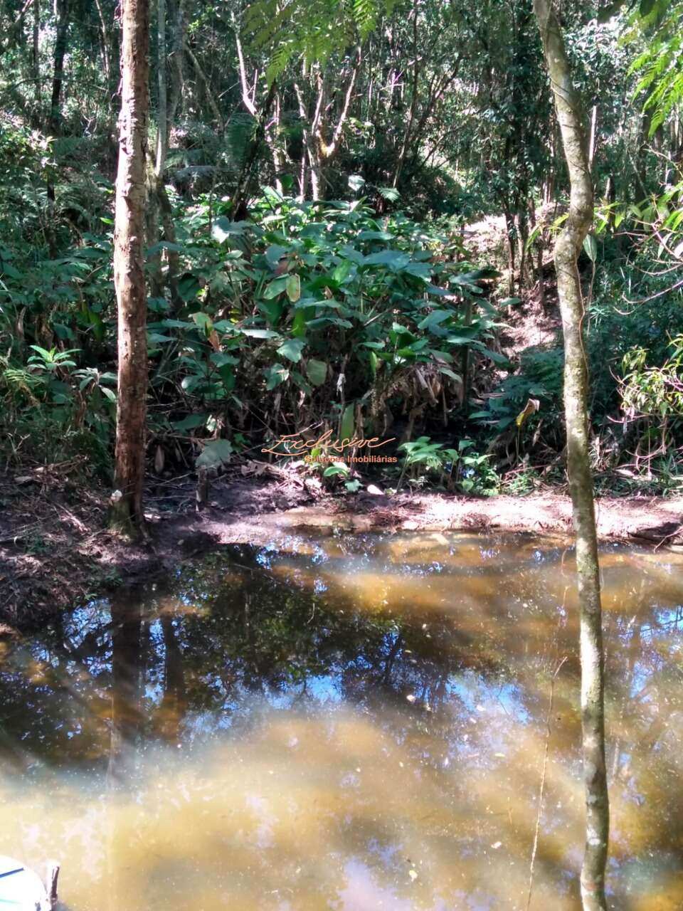 Chácara à Venda – Mogi das Cruzes / Biritiba Mirim – 2.100 m² - Cristina Cavalcanti