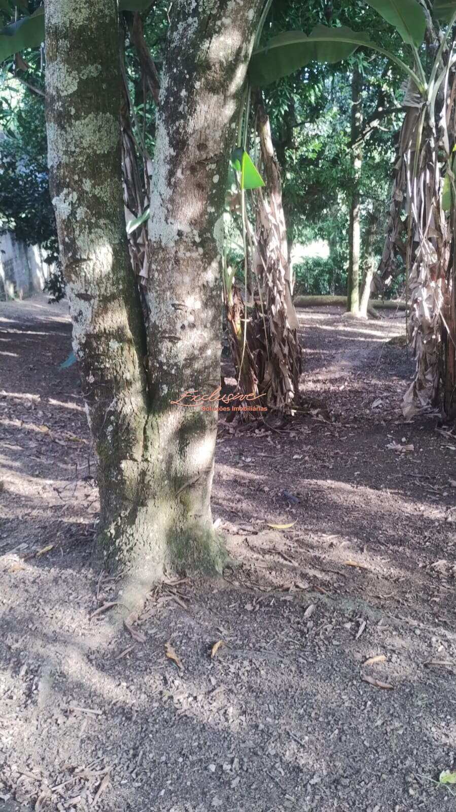 Chácara à Venda – Taboão, Mogi das Cruzes - Cristina Cavalcanti