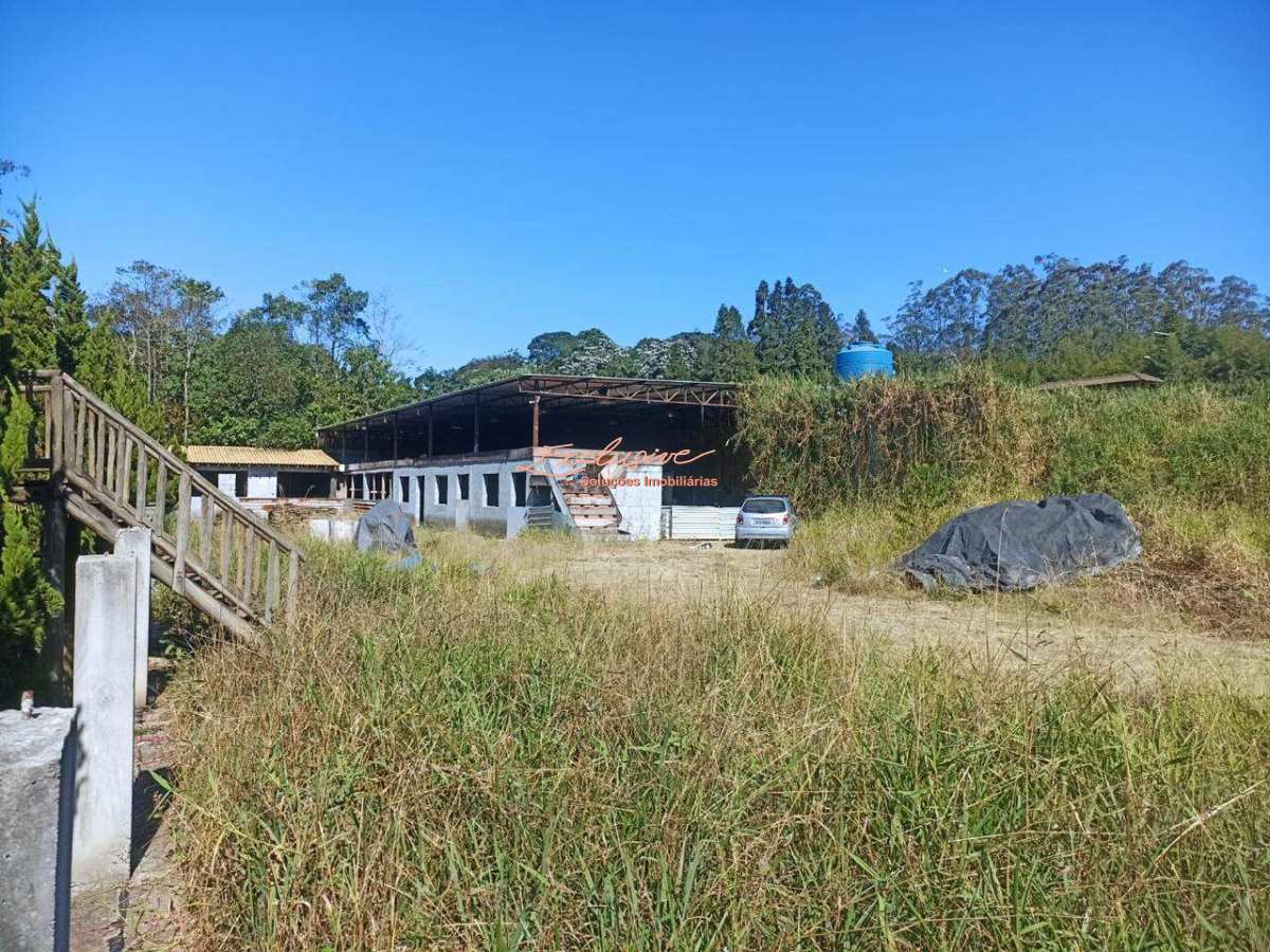 Chácara em Palmeiras – Suzano