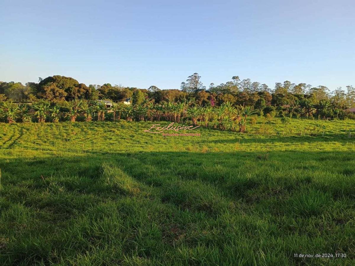 Chácara/terreno 2500 m² - Biritiba Ussu - Boa Vista - Mogi das Cruzes. - Cristina Cavalcanti