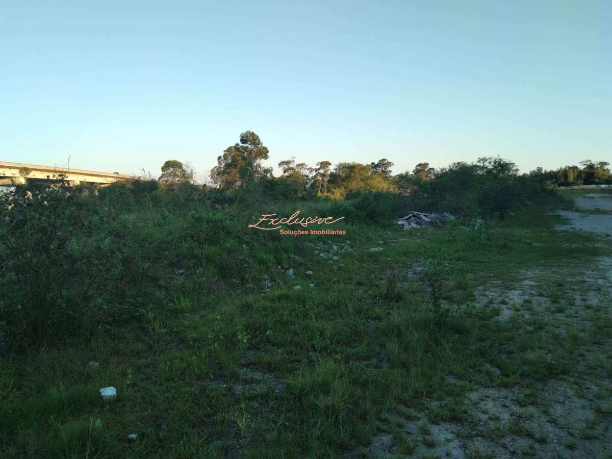 Galpão em estrada Miguel Badra, Itaquaquecetuba - Cristina Cavalcanti