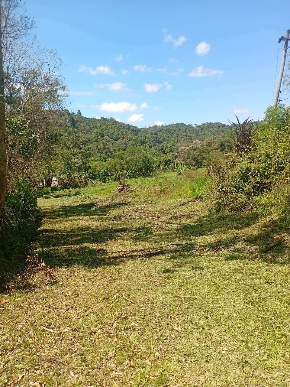 Linda Chácara – Taiaçupeba, Mogi das Cruzes - Cristina Cavalcanti