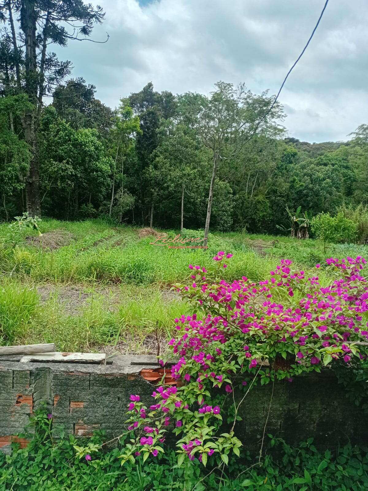 Linda Chácara – Taiaçupeba, Mogi das Cruzes - Cristina Cavalcanti