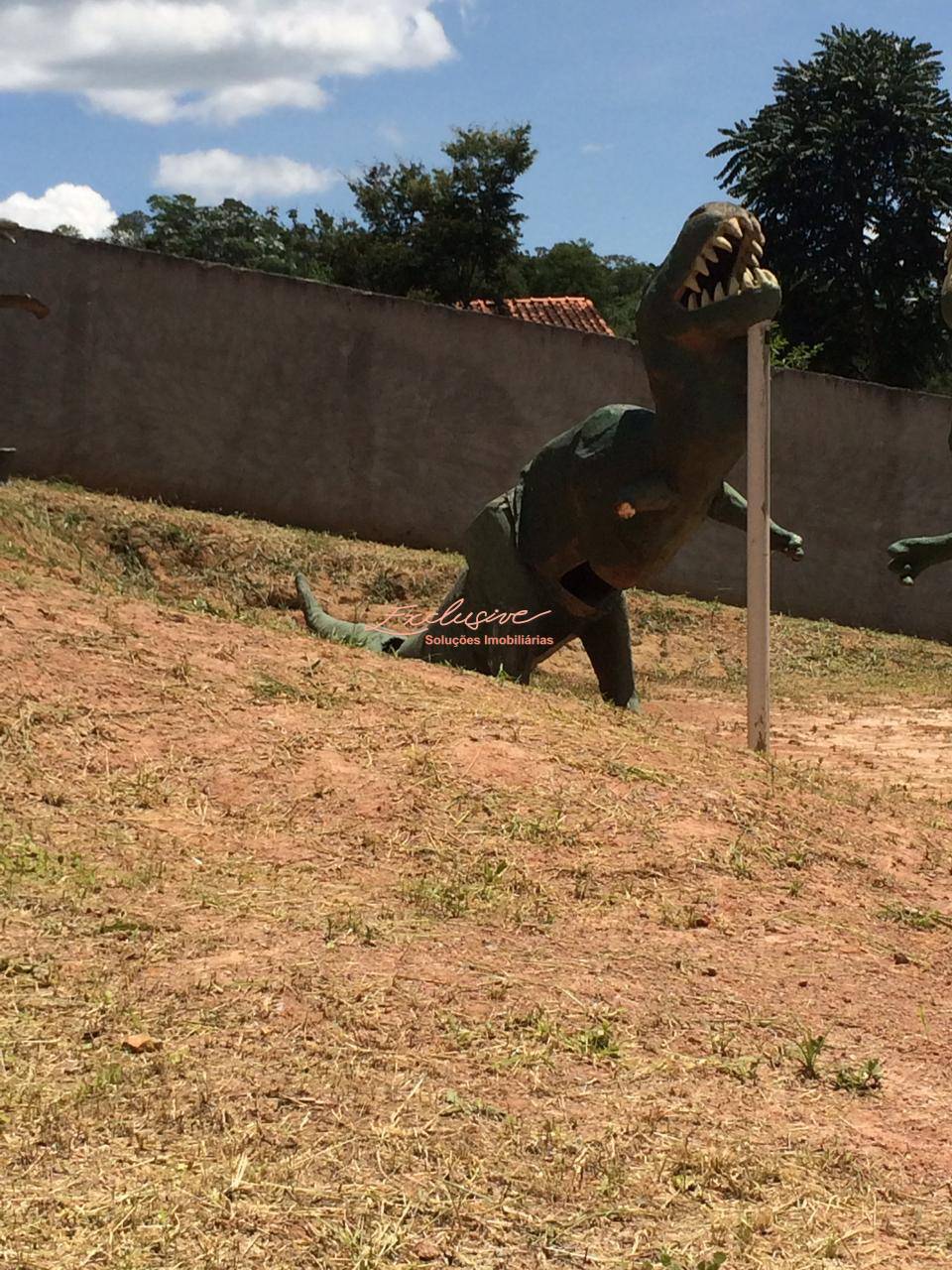 Lindo castelo em Estrada da Moralogia - Mogi das Cruzes - Cristina Cavalcanti