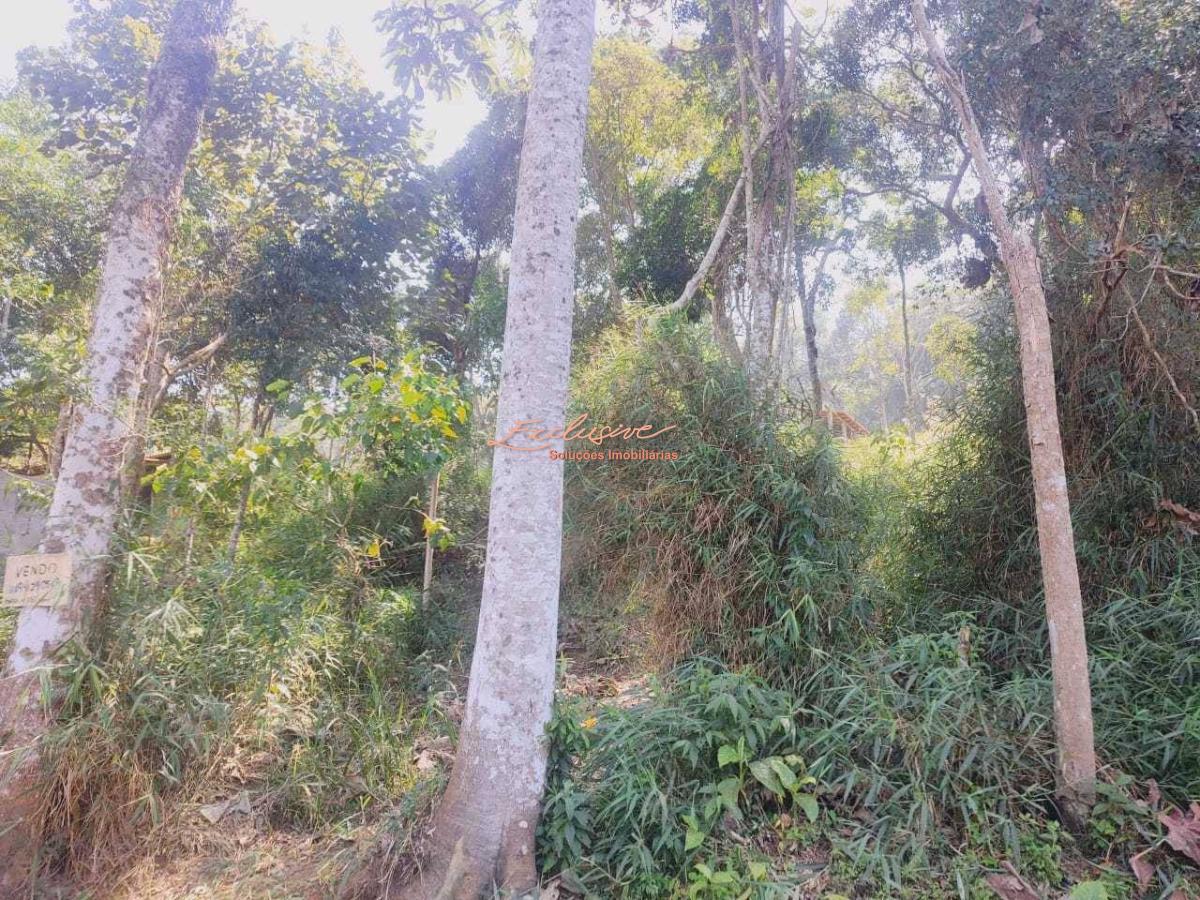 Terreno 4000m2 - Chacara - Estrada do Rio Acima, Mogi das Cruzes - Cristina Cavalcanti