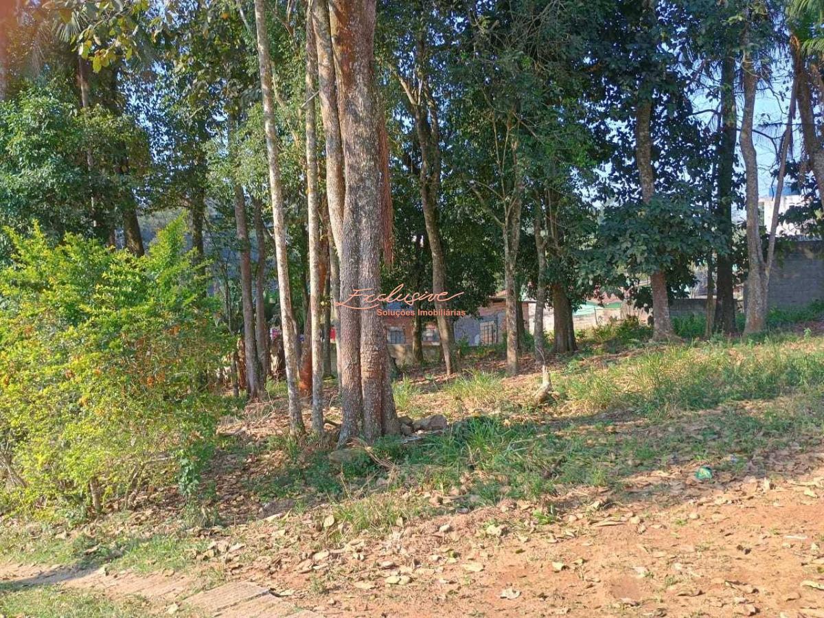 Terreno na Rodovia Mogi Bertioga, Biritiba Ussu - Mogi das Cruzes - Cristina Cavalcanti