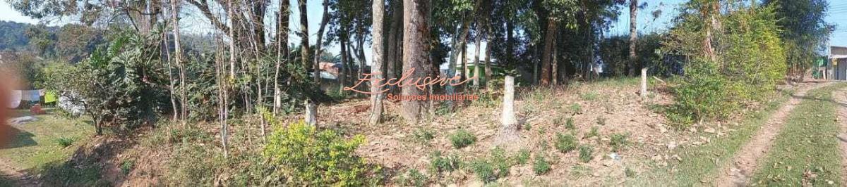 Terreno na Rodovia Mogi Bertioga, Biritiba Ussu - Mogi das Cruzes - Cristina Cavalcanti