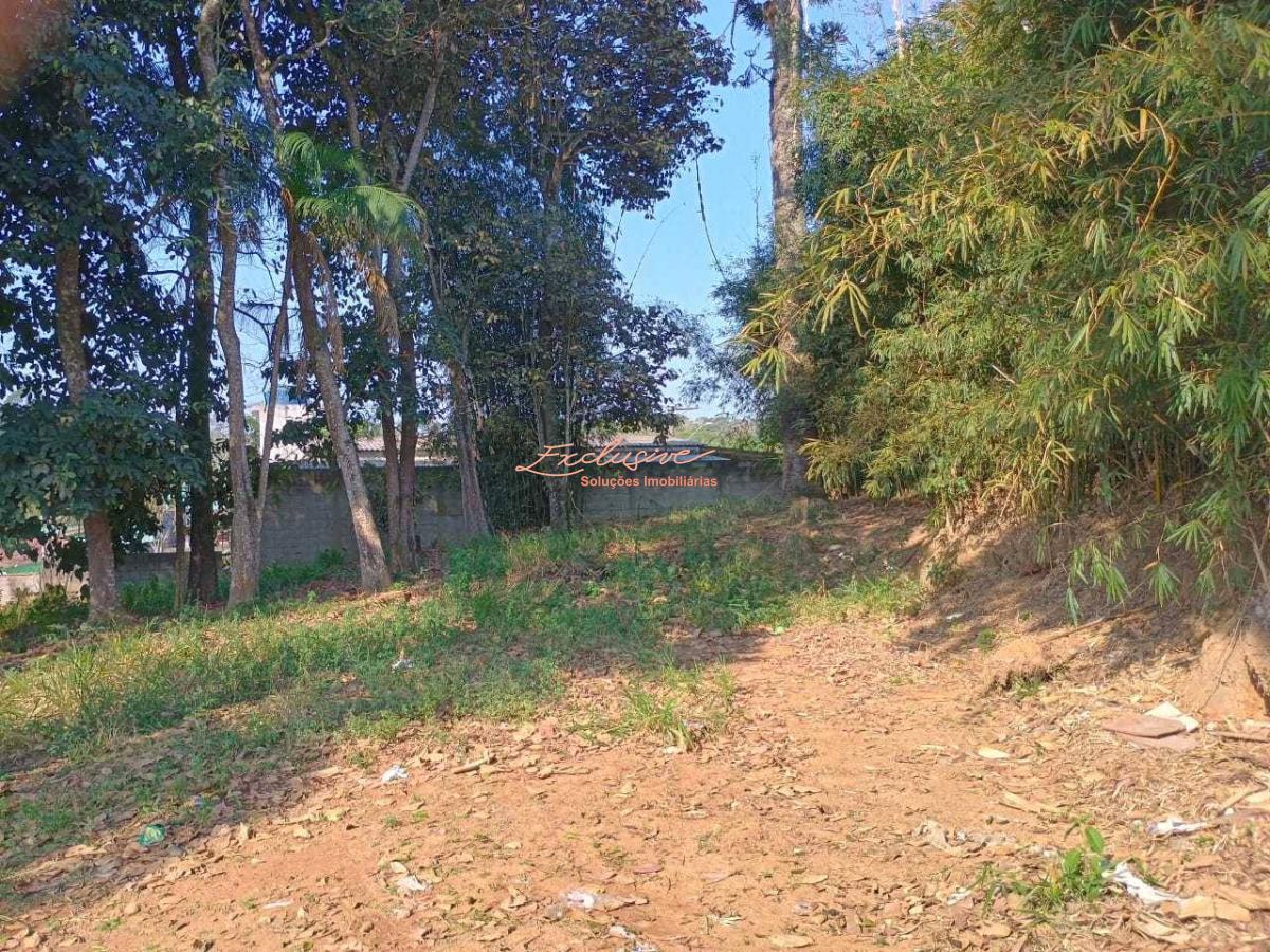 Terreno na Rodovia Mogi Bertioga, Biritiba Ussu - Mogi das Cruzes - Cristina Cavalcanti