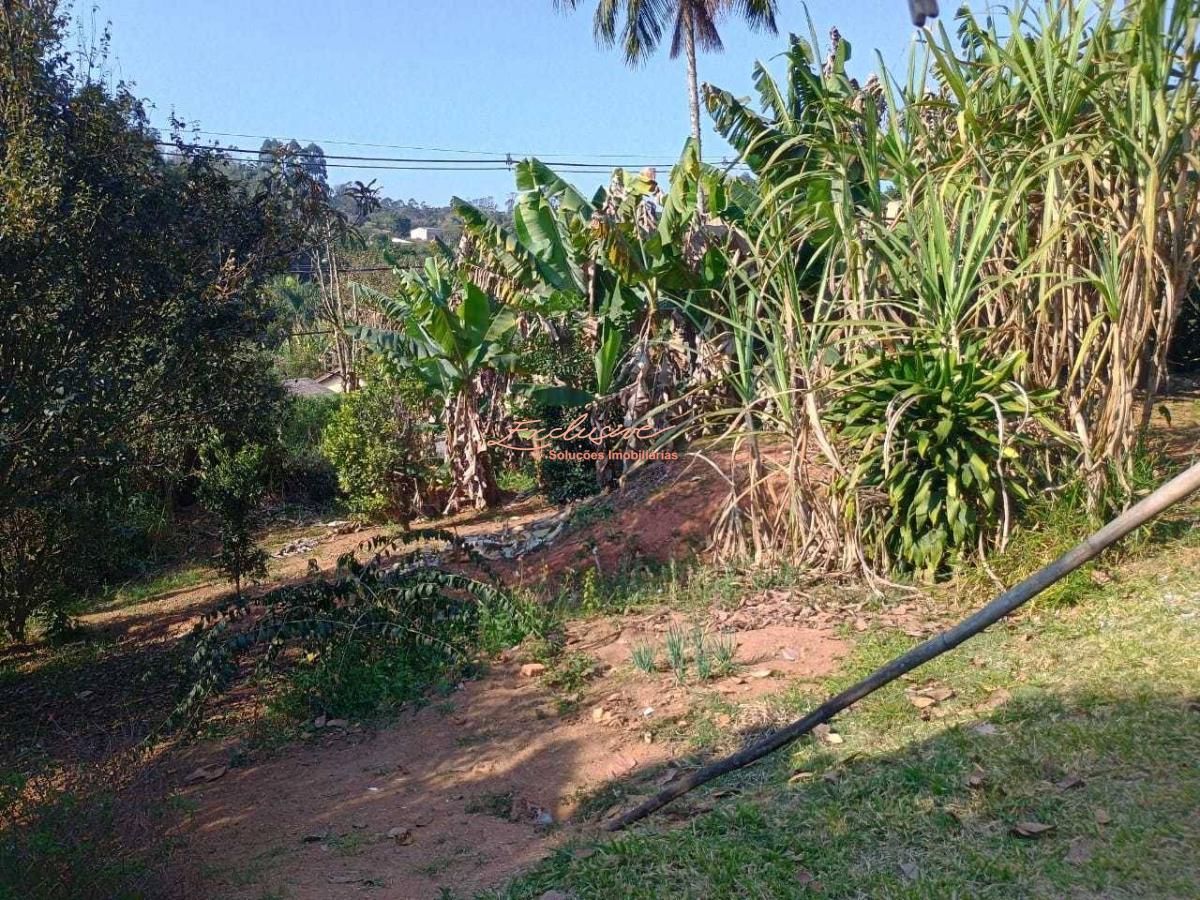 Terreno na Rodovia Mogi Bertioga, Biritiba Ussu - Mogi das Cruzes - Cristina Cavalcanti