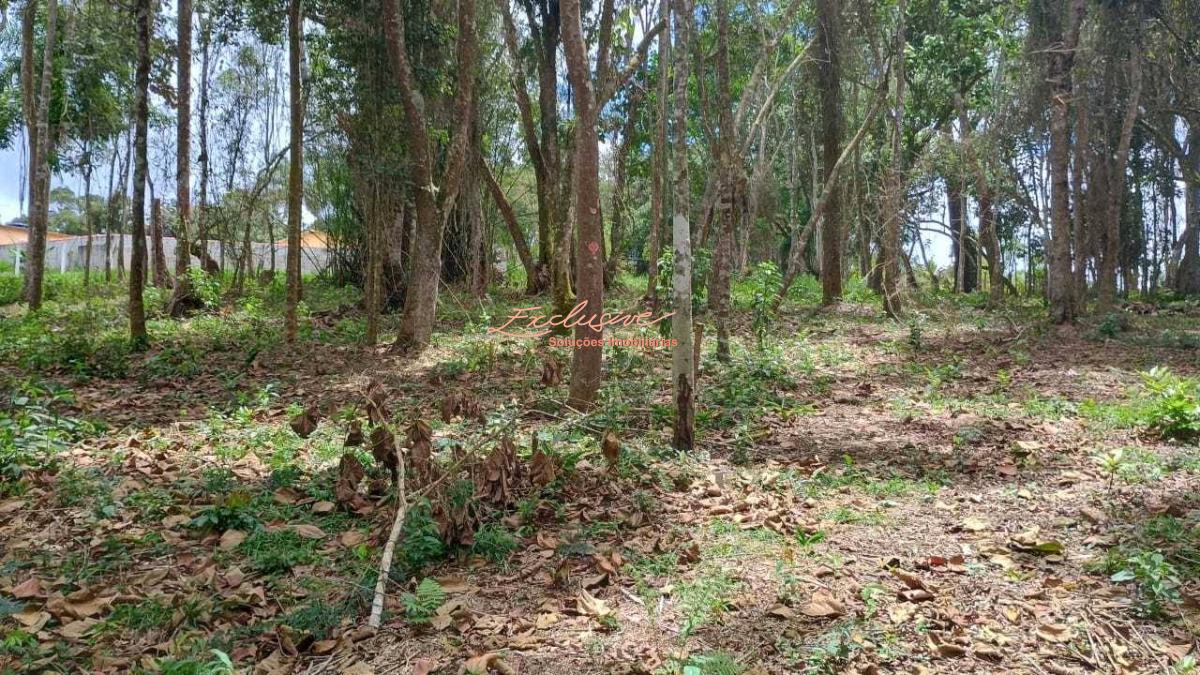Terreno para Chácara - 1000m2, Rodovia Mogi Bertioga. Vila Moraes - Mogi das Cruzes - Cristina Cavalcanti